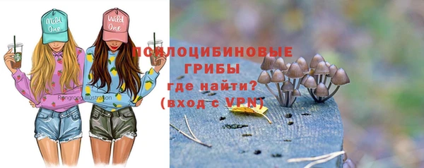 первитин Горняк