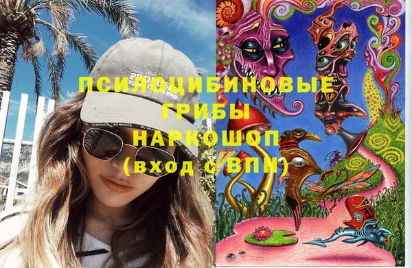 mdpv Гусиноозёрск