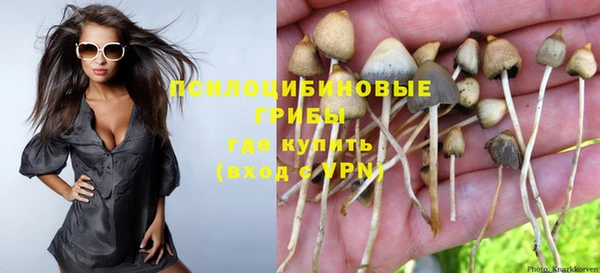 первитин Горняк