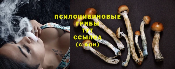 первитин Горняк