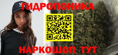 крисы Волжск