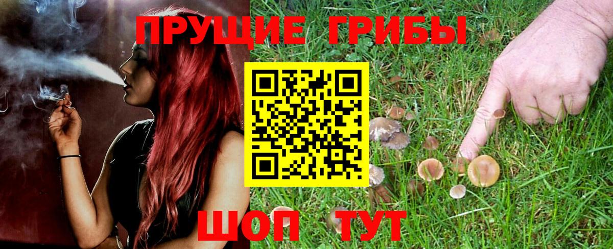 Псилоцибиновые грибы Magic Shrooms  Вход с VPN  Еманжелинск 