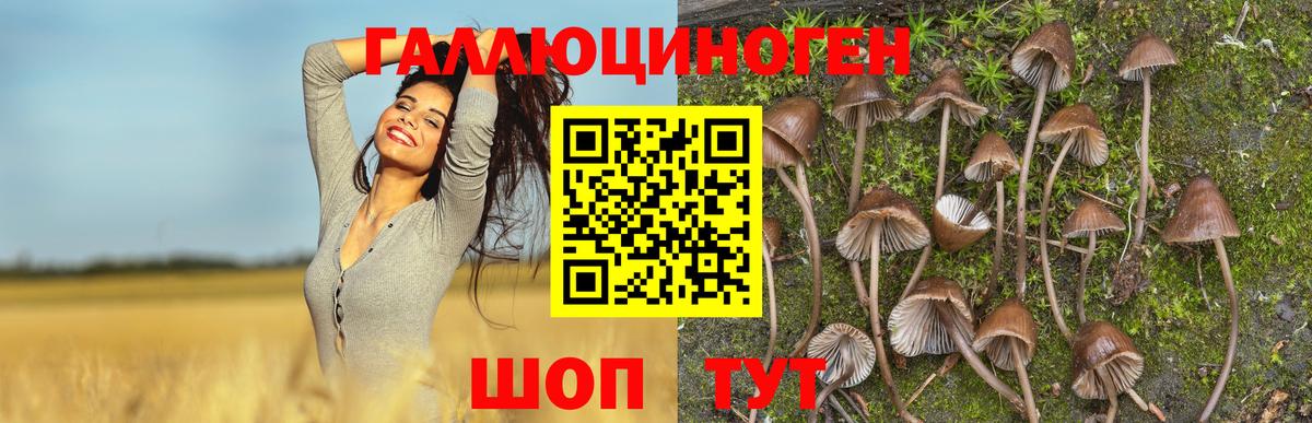 Галлюциногенные грибы GOLDEN TEACHER Еманжелинск